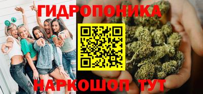 Альфа ПВП Можга
