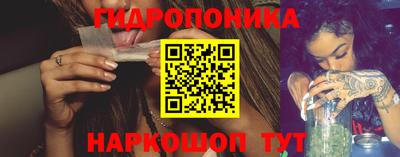 Альфа ПВП Можга