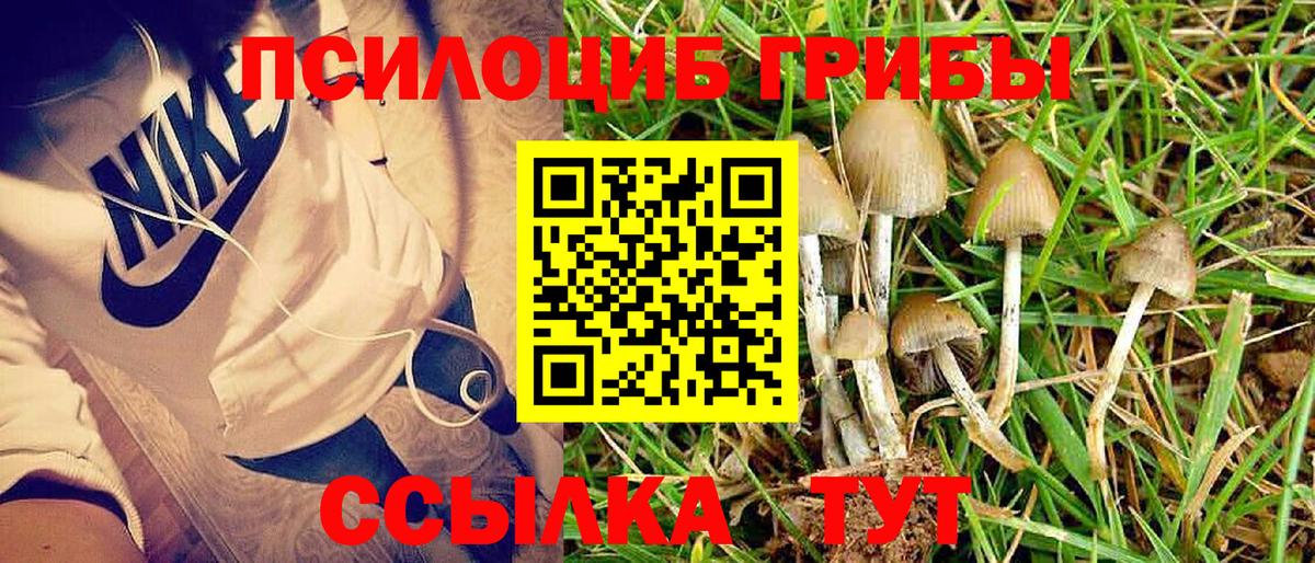 Галлюциногенные грибы ЛСД  наркотики  Черняховск  Вход с VPN  Псилоцибиновые грибы Cubensis 